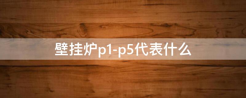 壁掛爐p1-p5代表什么 天然氣壁掛爐p1-p5怎么回事