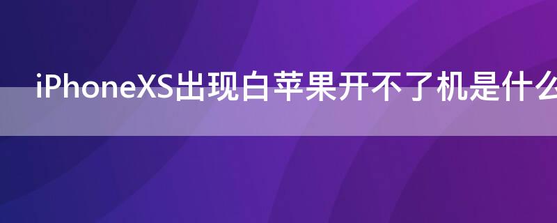 iPhoneXS出现白iPhone开不了机是什么原因 iphonexs开机一直白苹果怎么办