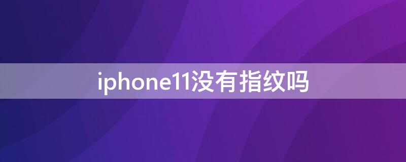 iPhone11没有指纹吗（iphone12没指纹）