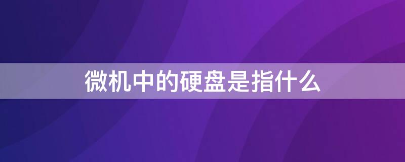 微机中的硬盘是指什么 微机中的硬盘是指什么的