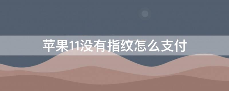 iPhone11没有指纹怎么支付 苹果11没有指纹支付功能吗