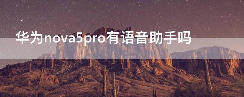 華為nova5pro有語音助手嗎 華為nova5i pro有語音助手嗎