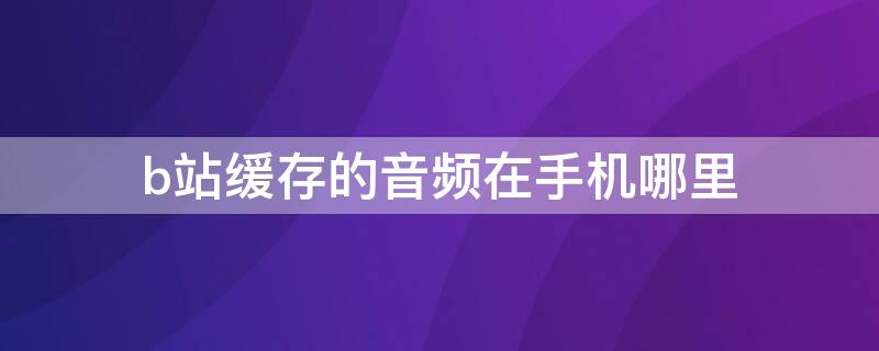 b站缓存的音频在手机哪里 b站缓存的音频在手机哪里找