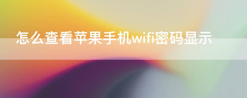 怎么查看iPhone手机wifi密码显示（iphone的wifi密码怎么查看）