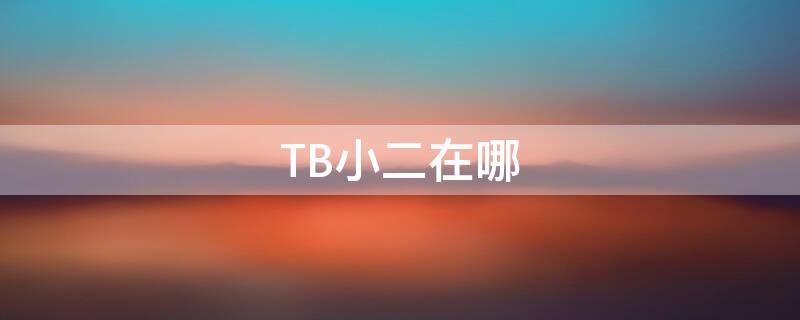 TB小二在哪