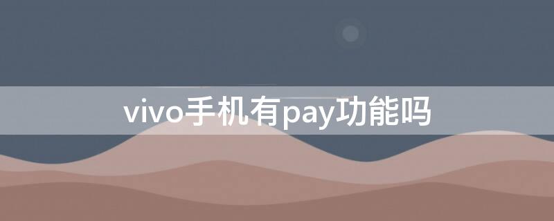 vivo手机有pay功能吗 vivo手机有没有pay功能