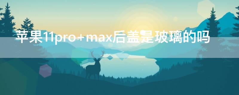 iPhone11pro max后盖是玻璃的吗