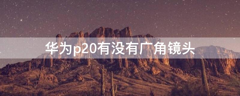 华为p20有没有广角镜头