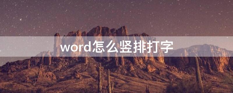 word怎么竖排打字