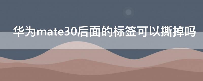 华为mate30后面的标签可以撕掉吗 华为mate30pro手机后面的标签可以撕掉吗