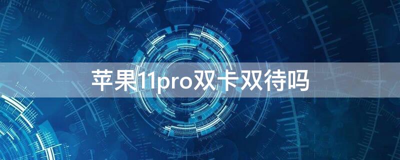 iPhone11pro双卡双待吗（iphone11pro可以双卡双待）