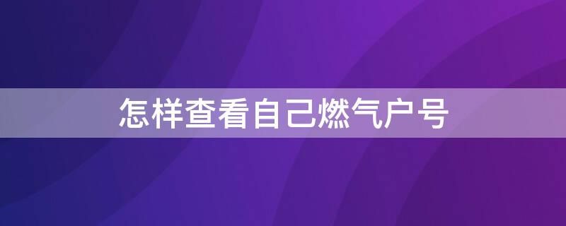 怎样查看自己燃气户号（怎样查看自己燃气户号短信）