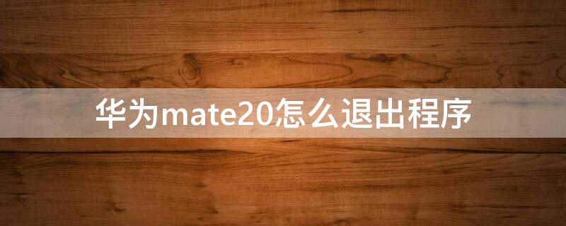 华为mate20怎么退出程序 华为mate20pro如何退出程序