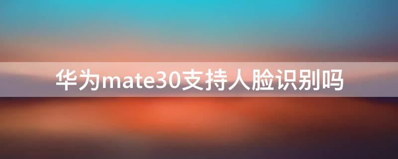 华为mate30支持人脸识别吗（mate30 有人脸识别吗）