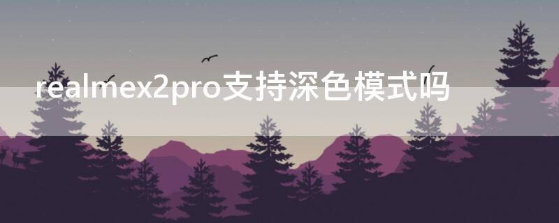 realmex2pro支持深色模式吗 realmex50pro颜色