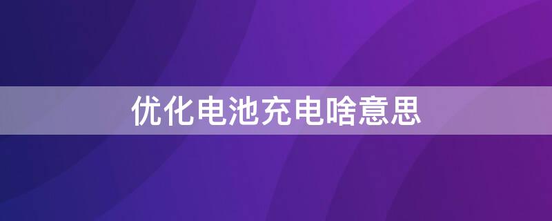 优化电池充电啥意思（优化电池充电啥意思呀）