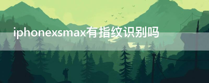 iPhonexsmax有指紋識(shí)別嗎（iphonexsmax有指紋嗎?）