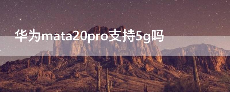 华为mata20pro支持5g吗