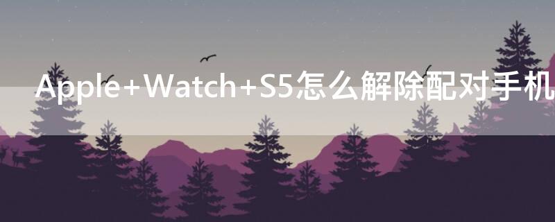 Apple Watch S5怎么解除配對手機