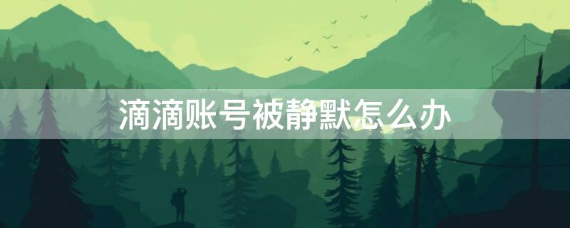 滴滴账号被静默怎么办 滴滴账号被静默多久会恢复