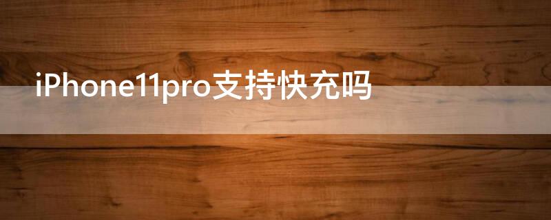 iPhone11 Pro Max支持快充吗