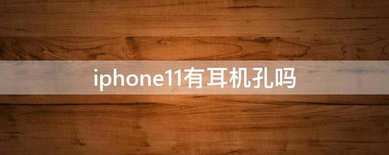 iPhone11有耳机孔吗（iphone11有耳机插孔吗）