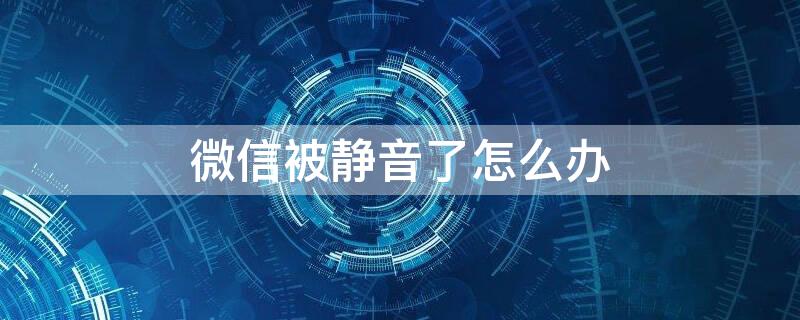 微信被靜音了怎么辦 微信上靜音怎么辦