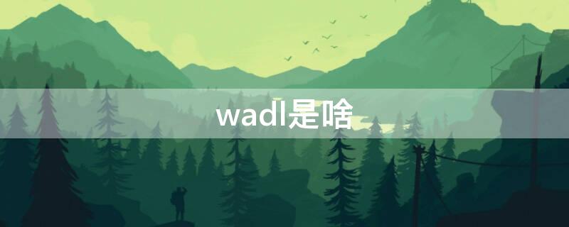 wadl是啥 wad是什么