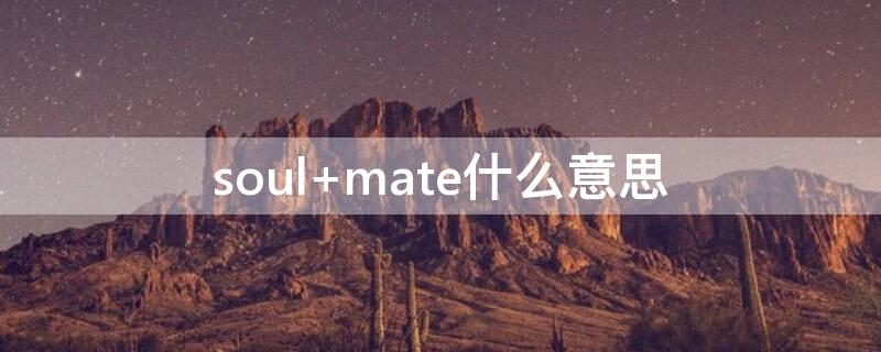 soul mate什么意思