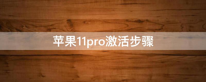 iPhone11pro激活步骤 iphone11pro新机激活