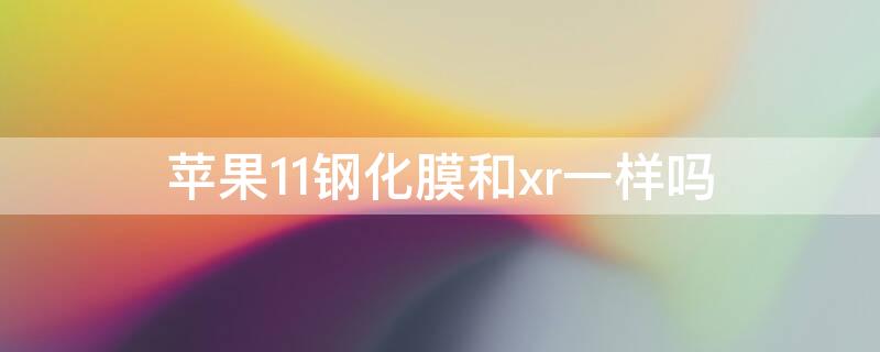 iPhone11鋼化膜和xr一樣嗎 iphone11和xr的鋼化膜一樣嗎