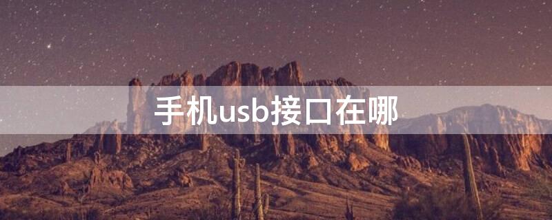 手机usb接口在哪（手机usb接口在哪儿找）