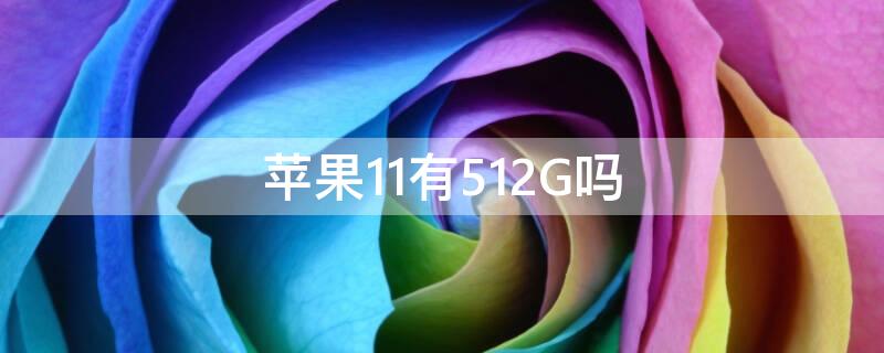 iPhone11有512G吗（iphone 11有没有512g的）