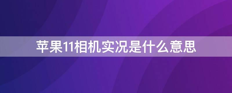 iPhone11相机实况是什么意思（苹果11相机实况是什么意思）