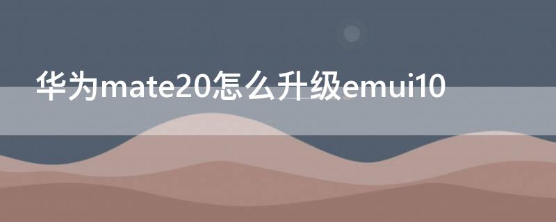 华为mate20怎么升级emui10 华为mate20怎么升级emui9.1