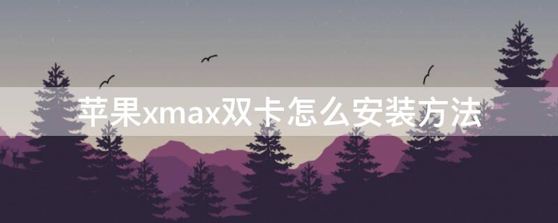 iPhonexmax双卡怎么安装方法（苹果xmax怎么放双卡）