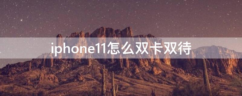 iPhone11怎么雙卡雙待 iphone11雙卡雙待怎么設(shè)置