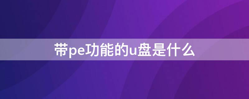 带pe功能的u盘是什么（带pe功能的u盘是什么格式）