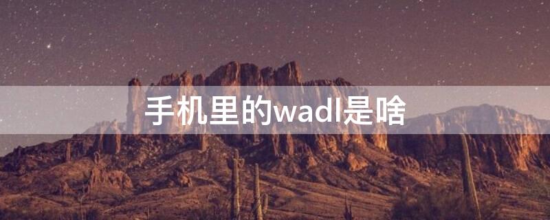 手机里的wadl是啥（手机wadl是什么文件）