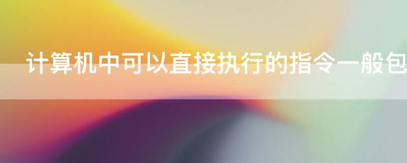 计算机中可以直接执行的指令一般包括