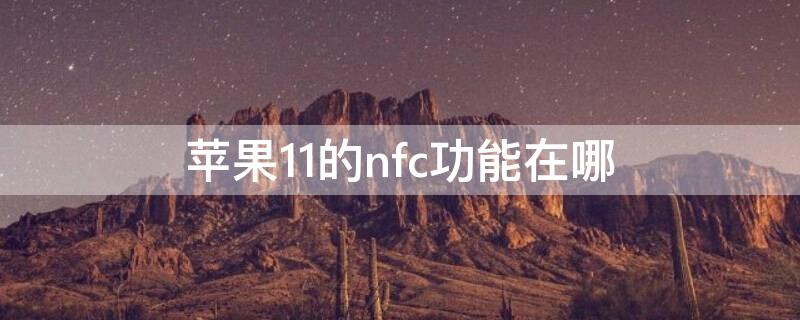 iPhone11的nfc功能在哪 iphone11的nfc功能在哪里