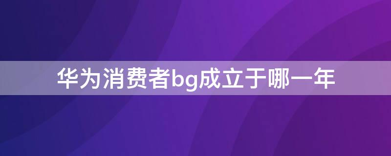 華為消費者bg成立于哪一年（華為消費者bg在哪個城市）