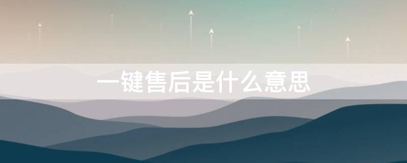 一键售后是什么意思（一键修复是什么意思）