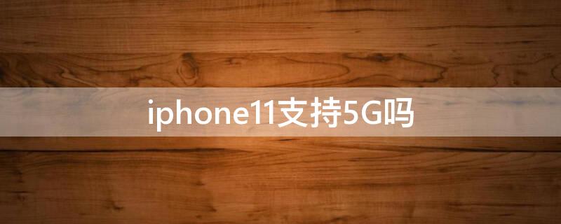 iPhone11支持5G嗎（iphone12有5g功能嗎）