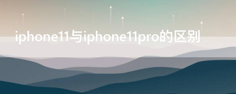 iPhone11与iPhone11pro的区别 iphone11和iphone11pro什么区别