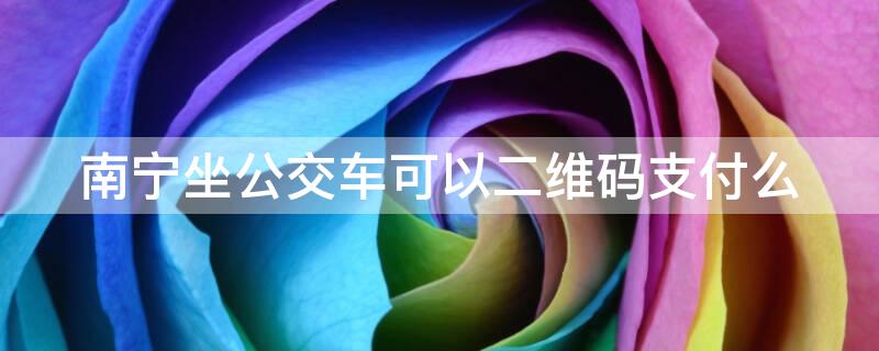 南寧坐公交車可以二維碼支付么 南寧坐公交車可以二維碼支付么嗎