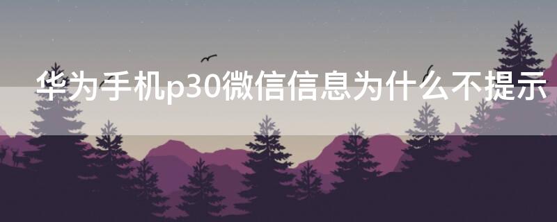 華為手機(jī)p30微信信息為什么不提示 華為手機(jī)p30微信信息為什么不提示消息