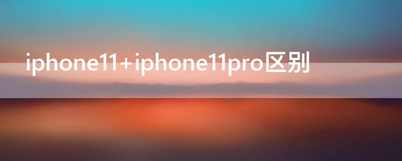 iPhone11 iPhone11pro区别