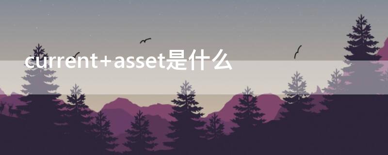 current asset是什么