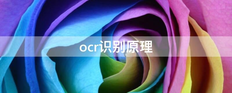 ocr识别原理（ocr文字识别原理）